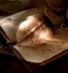 моя записная книжка